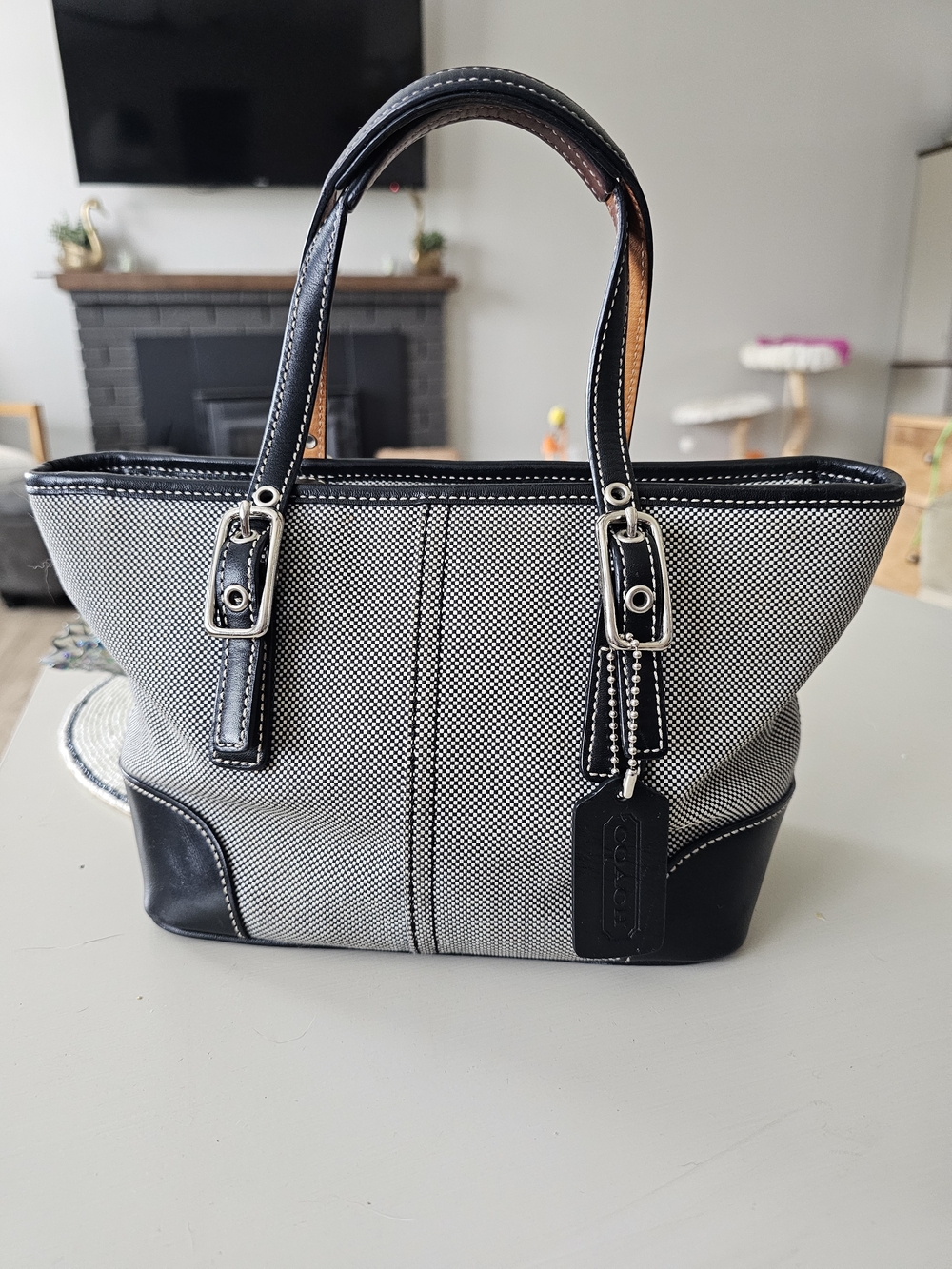 Vintage Coach Hampton Mini Market Tote
